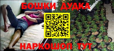 спиды Бердск