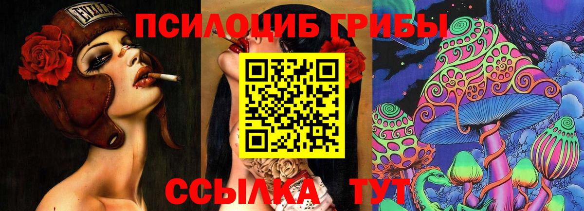 Псилоцибиновые грибы Magic Shrooms  Вход с VPN  Галлюциногенные грибы GOLDEN TEACHER  Нерюнгри 